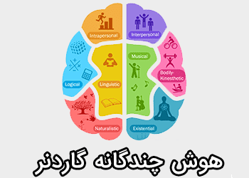 هوش چندگانه گاردنر